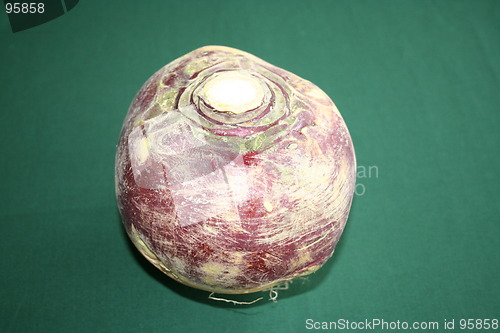 Image of Swedish turnip