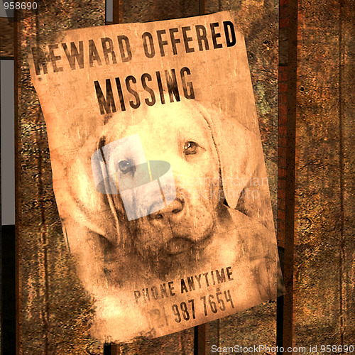 Image of miss-indicate for a missed dog - MISSING Dog