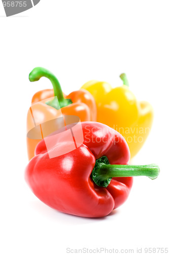 Image of three bell peppers