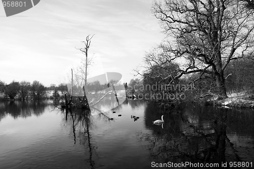 Image of Winter lake