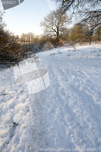 Image of Winter