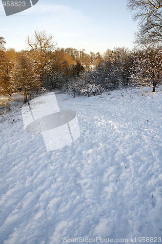 Image of Winter