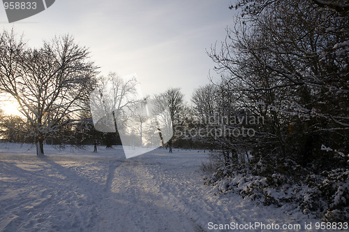 Image of Winter