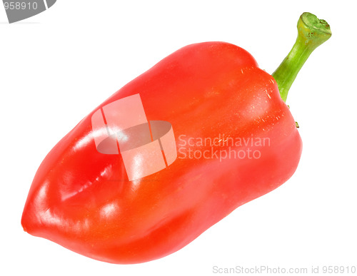 Image of Single red fresh pepper