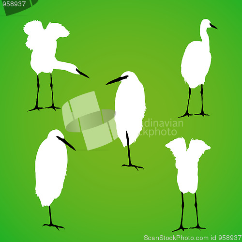 Image of Vector bird silhouette