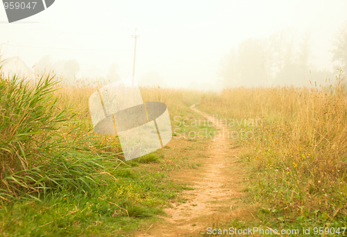 Image of meadow in white  smoke