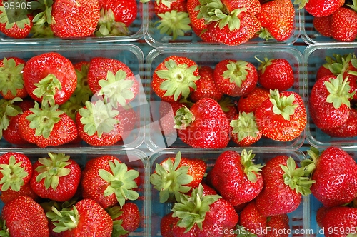 Image of Strawberries