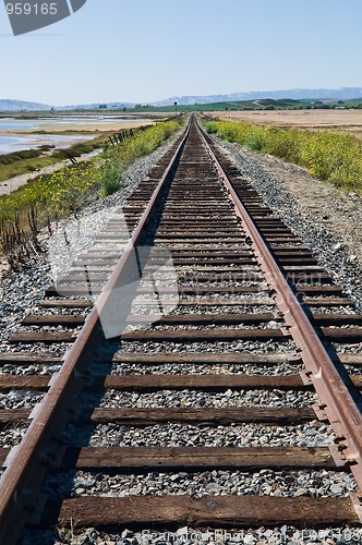 Image of Tracks