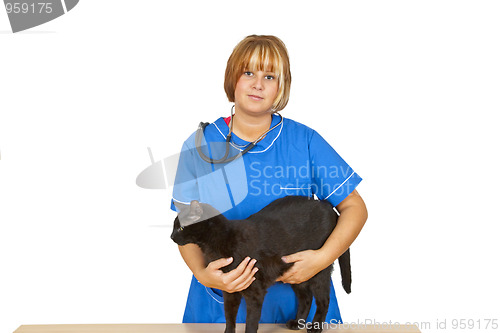 Image of Veterinary