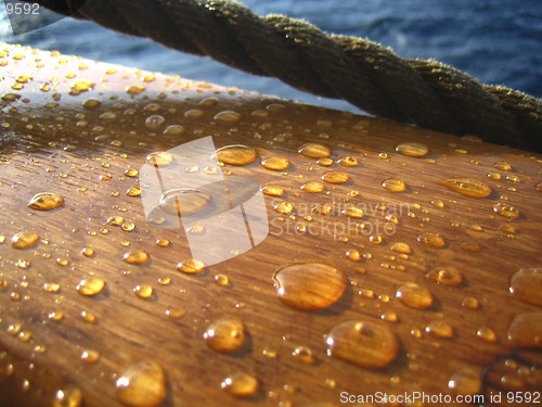 Image of Raindrops