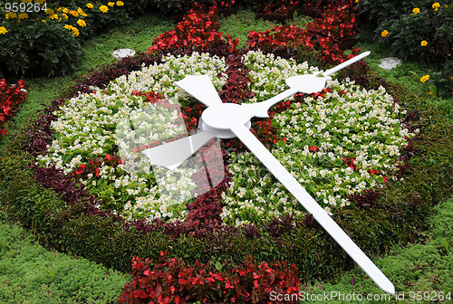 Image of Flower Clock