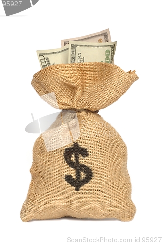 Image of Money Bag