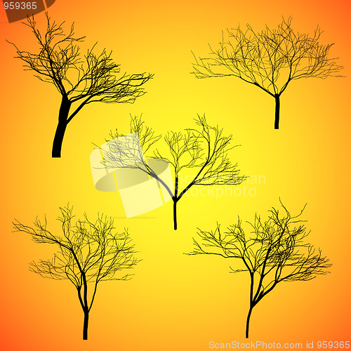 Image of Five Silhouette Vector