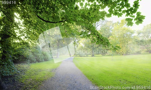 Image of Autumn