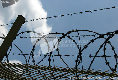 Image of barbed wire
