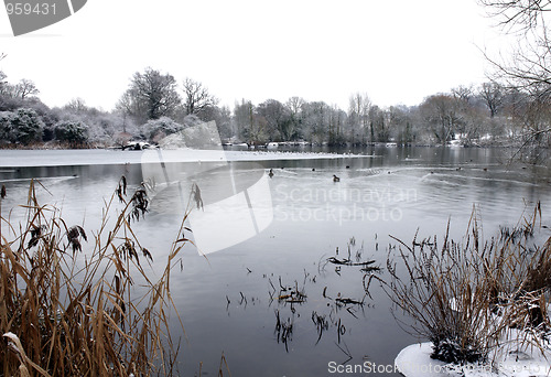 Image of Winter lake