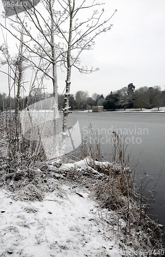 Image of Winter lake