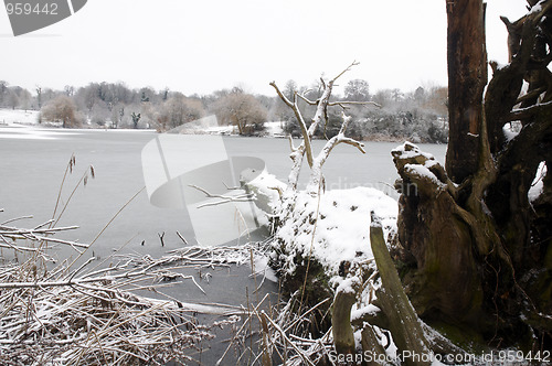 Image of Winter lake