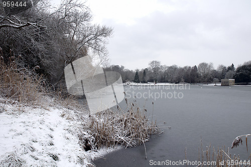 Image of Winter lake