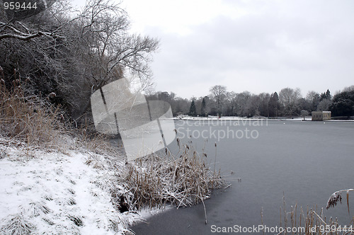 Image of Winter lake