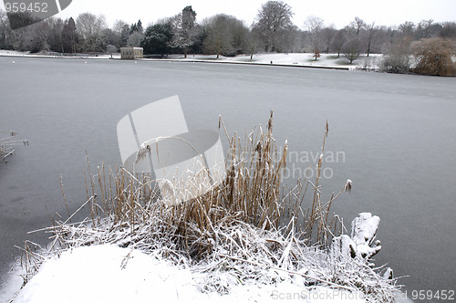 Image of Winter lake