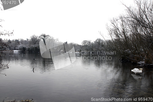 Image of Winter lake