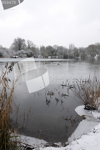 Image of Winter lake