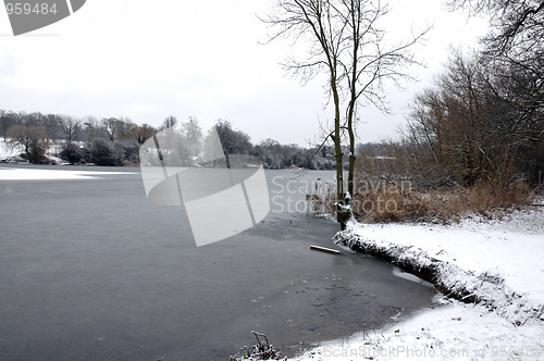 Image of Winter lake