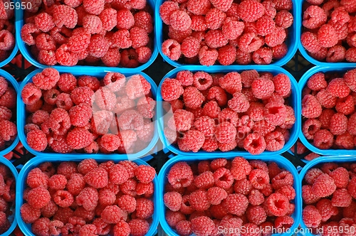 Image of Raspberries