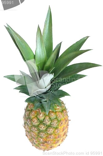 Image of Pineapple