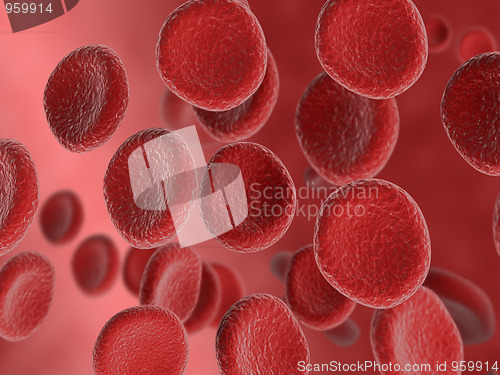 Image of Red bloodcell flow