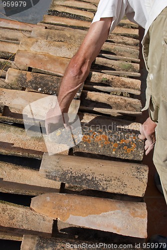 Image of Roof thatcher