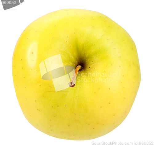 Image of Single a yellow apple