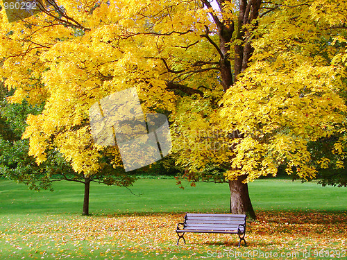 Image of City park in autumn