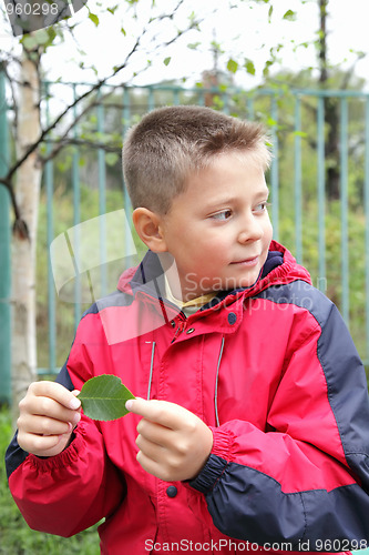 Image of Boy with leaf looking sideways