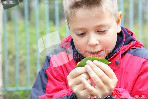 Image of Kid examining leaf