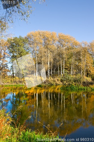 Image of Autumn landscape