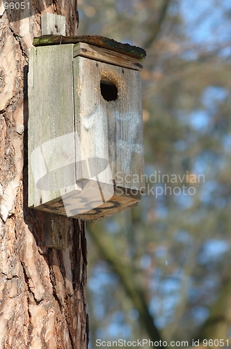 Image of Birds House