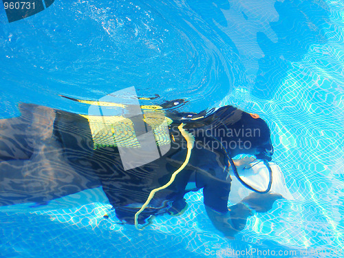 Image of Diver in swimming pool