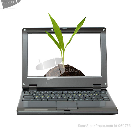 Image of laptop with green sprout