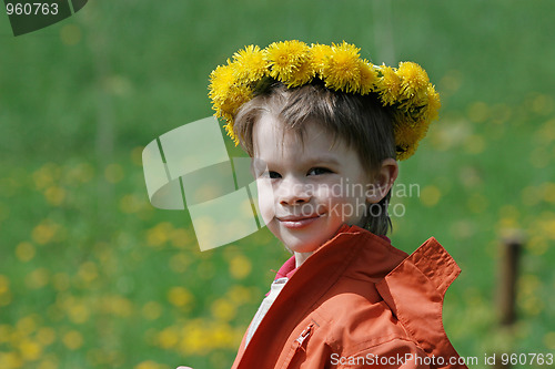 Image of Boy in dandelion meadow.