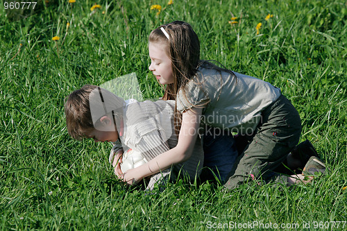 Image of Summer joy