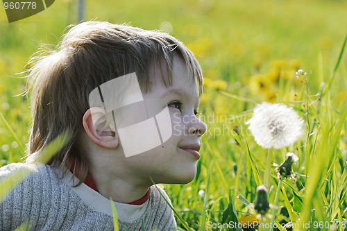 Image of Boy in dandelion meadow.