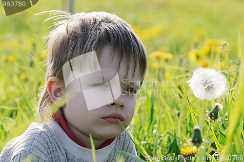 Image of Boy in dandelion meadow.