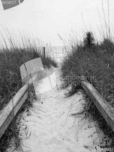 Image of Beach Path