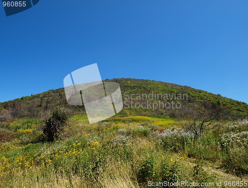 Image of Round top