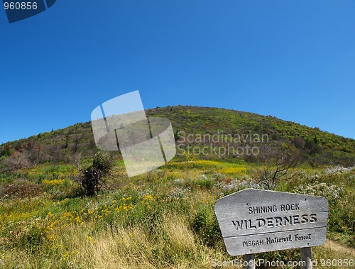 Image of Shining rock