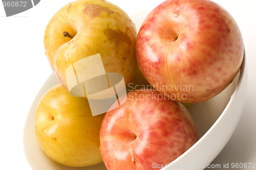 Image of yellow green sweetie and red pluot fruits