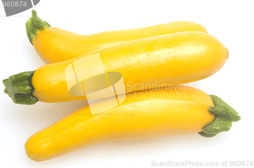 Image of three yellow zucchini squash  