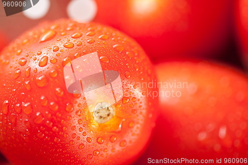 Image of Fresh, Vibrant Roma Tomatoes in Colander with Water Drops